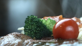 客香來餐飲 企業(yè)宣傳片