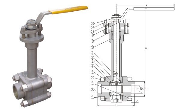 DQ61Y�䓵͜����y