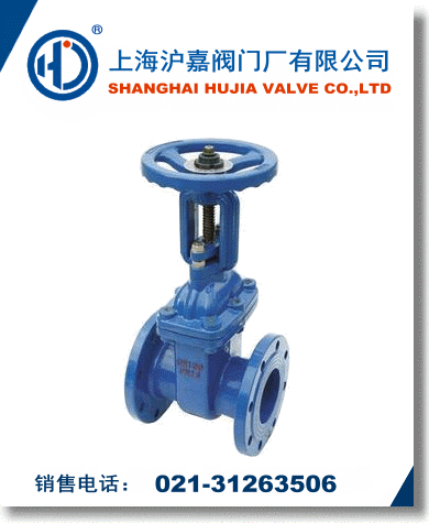 明桿彈性座封閘閥