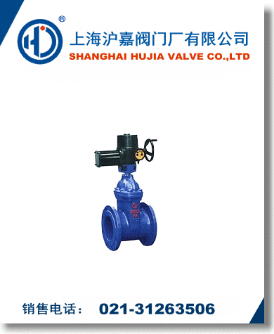 電動彈性座封閘閥