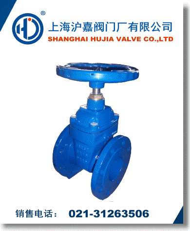 軟密封彈性座封閘閥