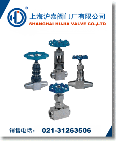 ���߉�����y